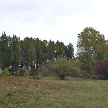 別荘 Het Strooien Hoedje *
